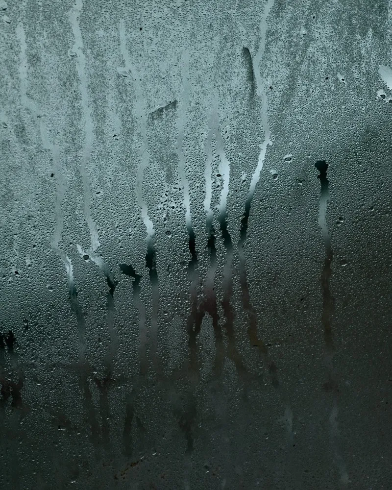 Les risques de condensation sur les fenêtres et les solutions pour les prévenir